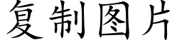 复制图片 (楷体矢量字库)