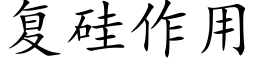 复硅作用 (楷体矢量字库)