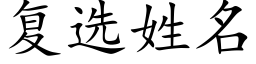 复选姓名 (楷体矢量字库)