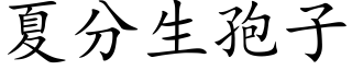 夏分生孢子 (楷体矢量字库)