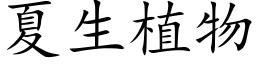 夏生植物 (楷体矢量字库)