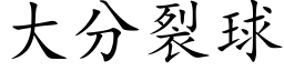 大分裂球 (楷体矢量字库)