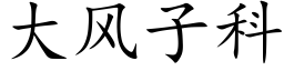 大风子科 (楷体矢量字库)