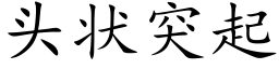 头状突起 (楷体矢量字库)