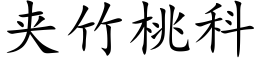 夹竹桃科 (楷体矢量字库)