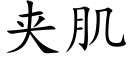 夾肌 (楷體矢量字庫)