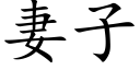 妻子 (楷体矢量字库)