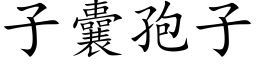 子囊孢子 (楷體矢量字庫)