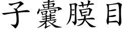 子囊膜目 (楷體矢量字庫)