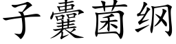 子囊菌綱 (楷體矢量字庫)