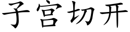 子宫切开 (楷体矢量字库)