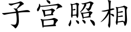 子宫照相 (楷体矢量字库)