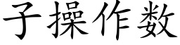 子操作数 (楷体矢量字库)