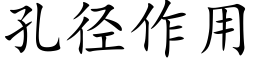 孔徑作用 (楷體矢量字庫)