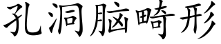 孔洞脑畸形 (楷体矢量字库)