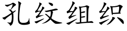 孔紋組織 (楷體矢量字庫)