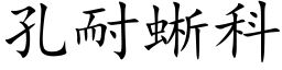 孔耐蜥科 (楷体矢量字库)