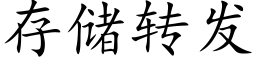 存儲轉發 (楷體矢量字庫)