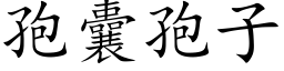 孢囊孢子 (楷體矢量字庫)