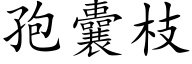 孢囊枝 (楷體矢量字庫)