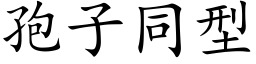 孢子同型 (楷体矢量字库)