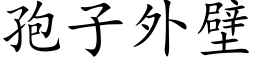 孢子外壁 (楷体矢量字库)