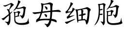 孢母细胞 (楷体矢量字库)