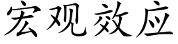 宏觀效應 (楷體矢量字庫)