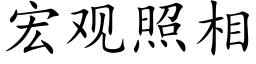 宏觀照相 (楷體矢量字庫)