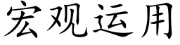 宏觀運用 (楷體矢量字庫)