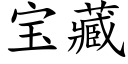 宝藏 (楷体矢量字库)