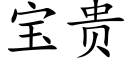 宝贵 (楷体矢量字库)