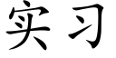 实习 (楷体矢量字库)