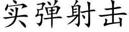 实弹射击 (楷体矢量字库)