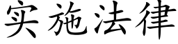 实施法律 (楷体矢量字库)