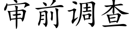 审前调查 (楷体矢量字库)