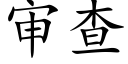 审查 (楷体矢量字库)