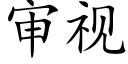 審視 (楷體矢量字庫)