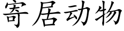 寄居动物 (楷体矢量字库)