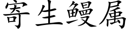 寄生鳗屬 (楷體矢量字庫)