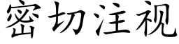 密切注视 (楷体矢量字库)