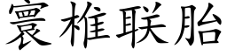 寰椎联胎 (楷体矢量字库)