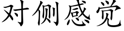 对侧感觉 (楷体矢量字库)