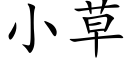 小草 (楷體矢量字庫)