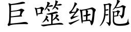 巨噬细胞 (楷体矢量字库)