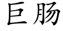 巨肠 (楷体矢量字库)