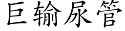 巨输尿管 (楷体矢量字库)