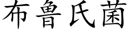 布魯氏菌 (楷體矢量字庫)