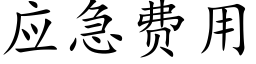 应急费用 (楷体矢量字库)