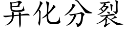 異化分裂 (楷體矢量字庫)